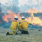 $800,000 for bushfire resilience